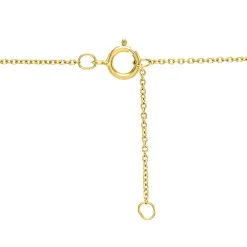 Amethyst Heart Shaped Necklace In 10K Yellow Gold