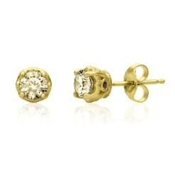 3/4 Ct. Tw. Yellow Diamond & Garnet Stud Earrings In