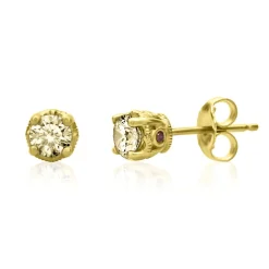 3/4 Ct. Tw. Yellow Diamond & Garnet Stud Earrings In