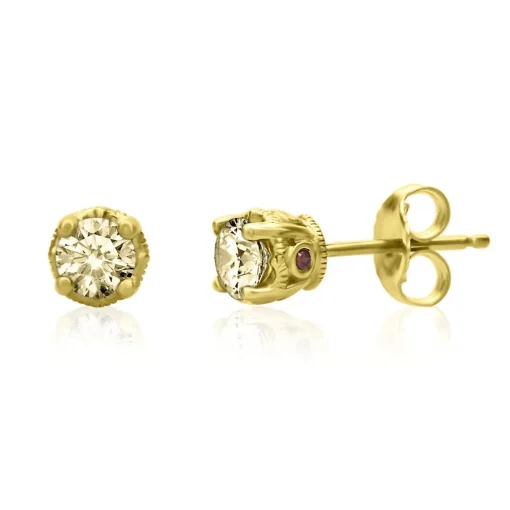 3/4 Ct. Tw. Yellow Diamond & Garnet Stud Earrings In