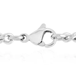 Lion Head Pendant With Curb Link Chain In Stainless Steel