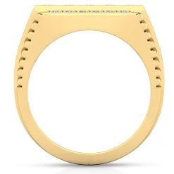 Men's Diamond Ring In 10K Yellow Gold (1 1/4 Ct. Tw.)