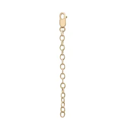 Necklace Extender In Vermeil, 2"