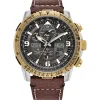 Promaster Skyhawk A-T Chronograph Men's Watch