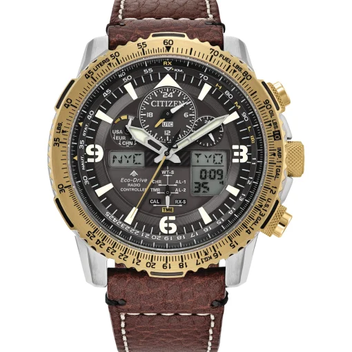Promaster Skyhawk A-T Chronograph Men's Watch