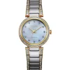 Silhouette Crystal Women's Watch In Two-Tone Ion-Plated Stainless Steel