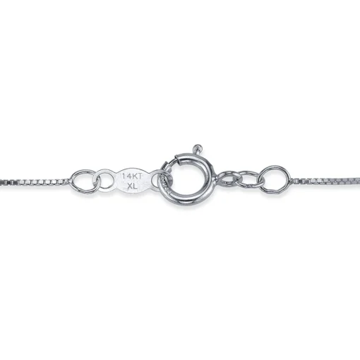 Two-Stone Diamond Necklace In 14K White Gold (1/3 Ct. Tw.)