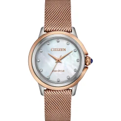 Women's Mesh Watch In Rose Gold-Tone Ion-Plated Stainless Steel