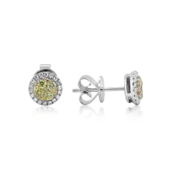 Yellow & White Diamond Stud Earrings In 14K Yellow & White Gold