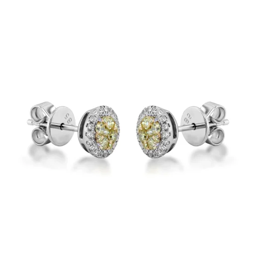 Yellow & White Diamond Stud Earrings In 14K Yellow & White Gold